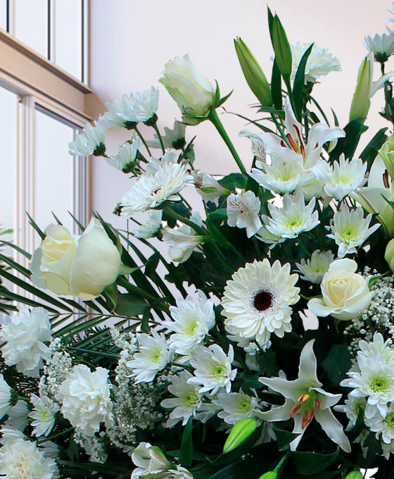 Flores con envío a pamplona