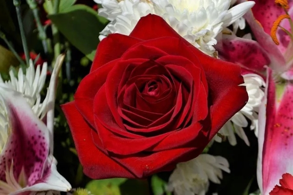 Rosas funebres flores para difuntos