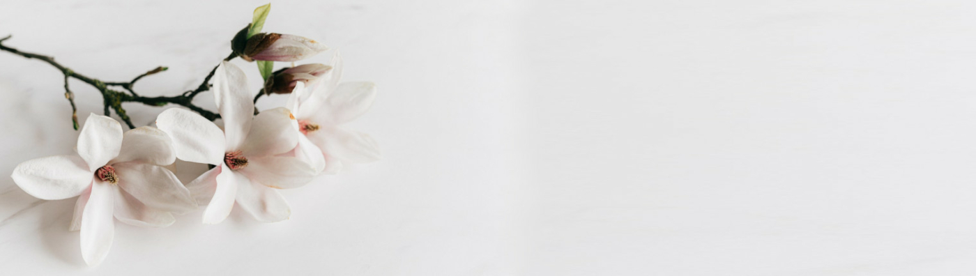 Flores para los tanatorios de Pamplona