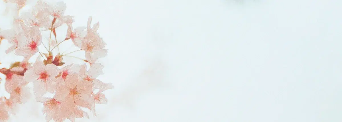 Flores funebres para los tanatorios de Pamplona