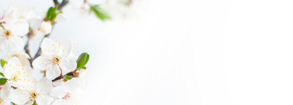 Flores para tanatorios de Pamplona